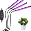 LUCES DE CULTIVO EN INTERIORES