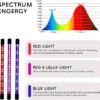 LUCES DE CULTIVO EN INTERIORES