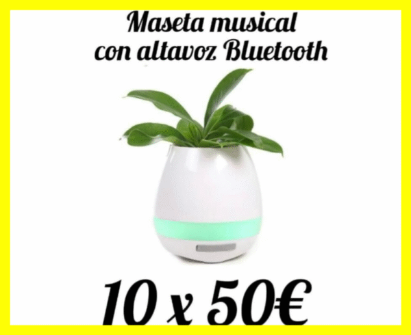 MASETA MUSICAL CON ALTAVOZ Y BLUETOOTH