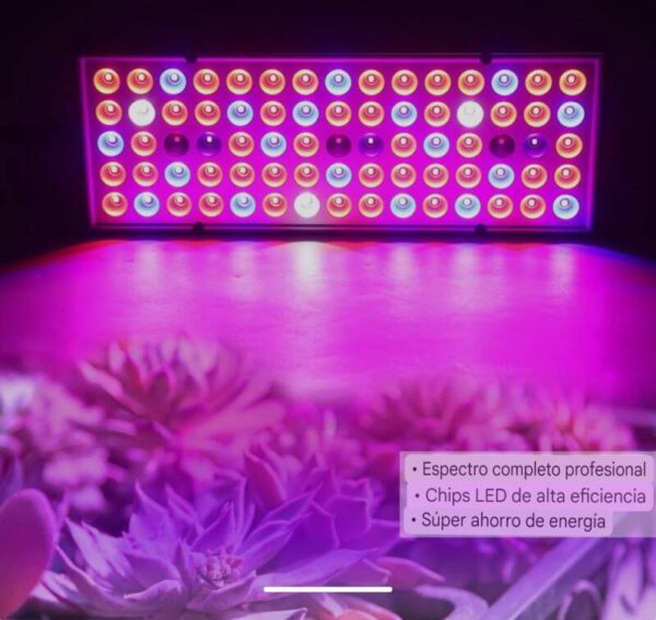 LUZ LED PARA PLANTAS O DECORACION